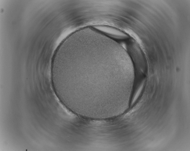 X0000088590894200705251146