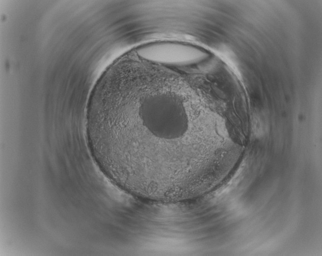 X0000088590895200705251146