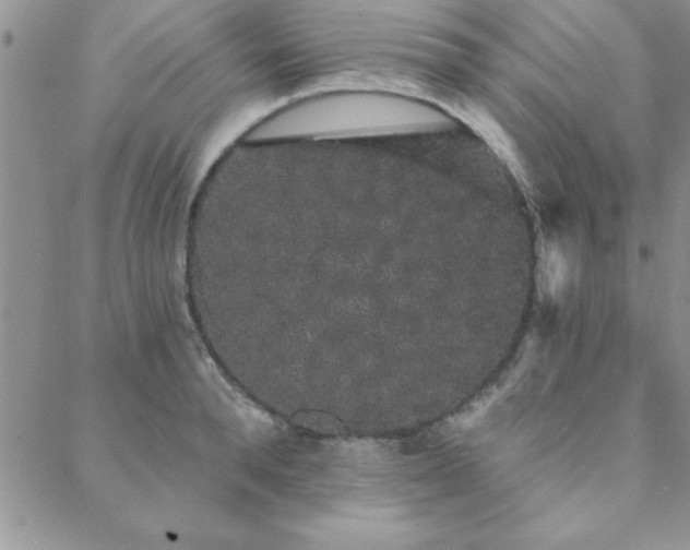 X0000088590896200705251146