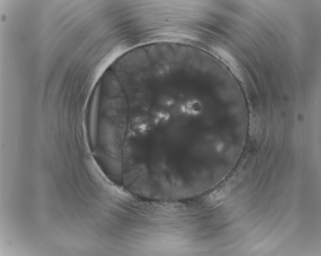 X0000088590899200705251146