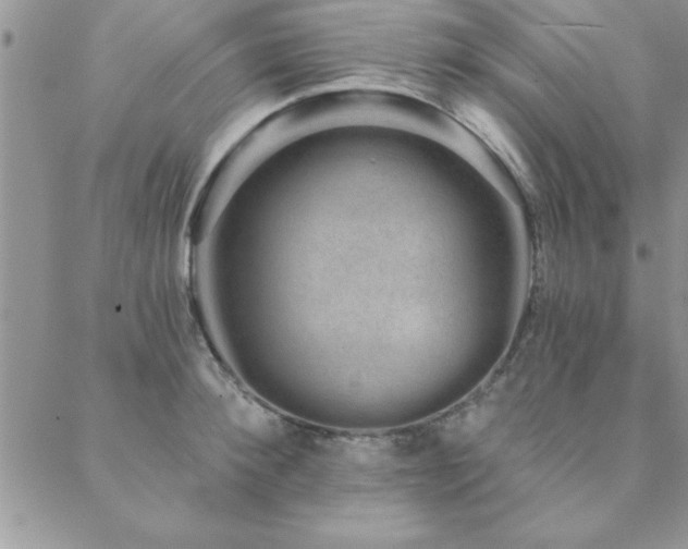 X0000088590900200705251146