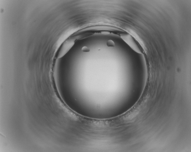 X0000088590901200705251146