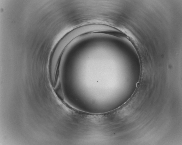 X0000088590902200705251146