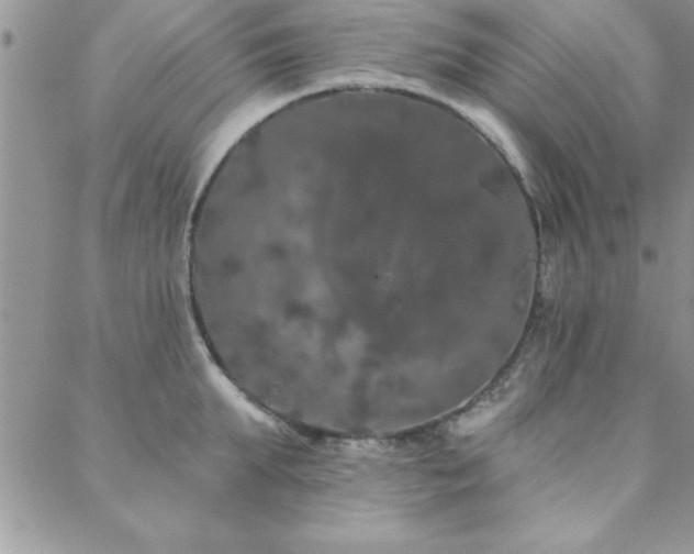 X0000088590903200705251146