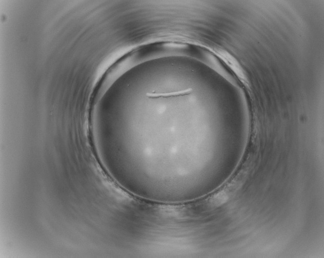 X0000088590904200705251146