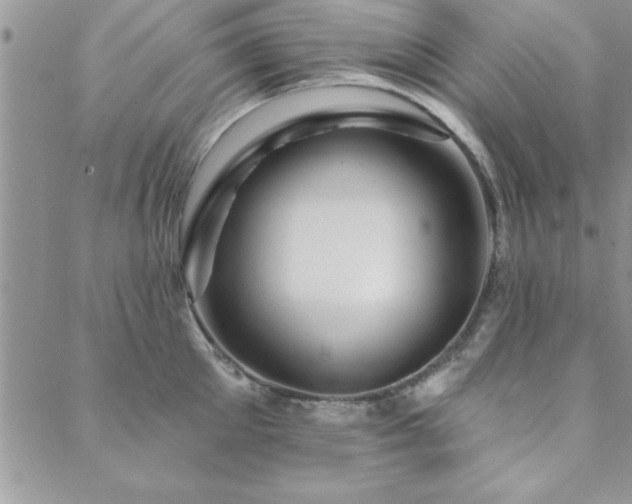 X0000088590905200705251146