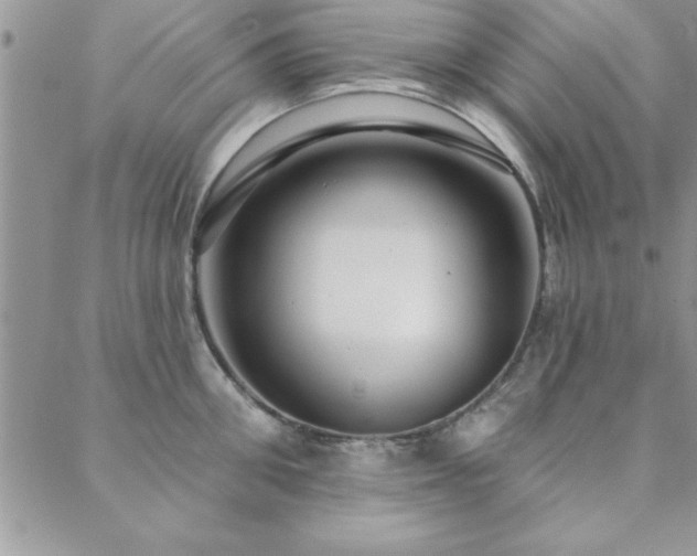 X0000088590906200705251146