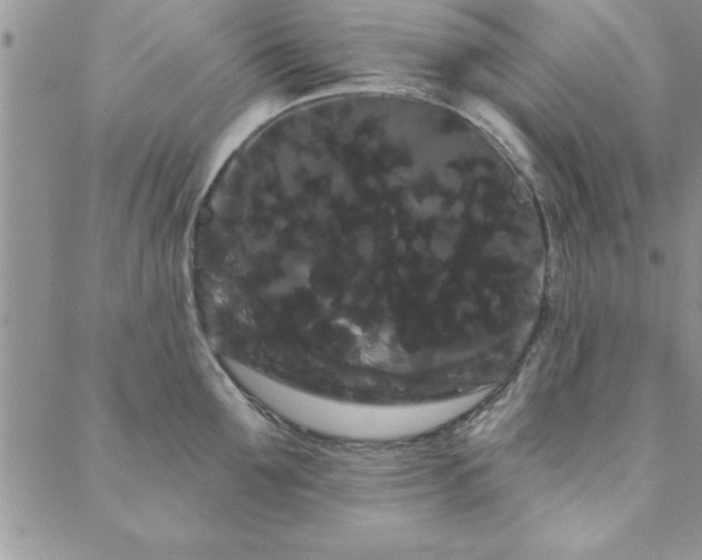 X0000088590907200705251146