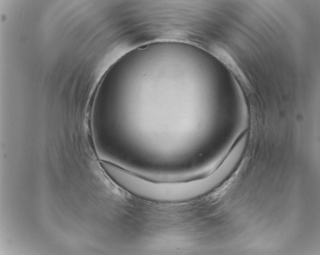 X0000088590908200705251146