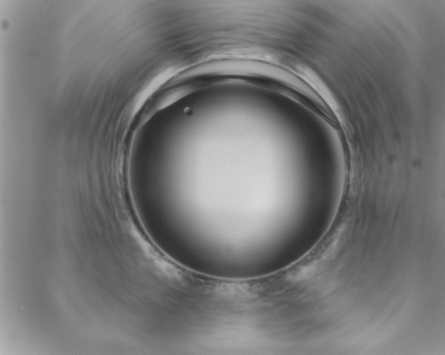 X0000088590909200705251146