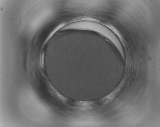 X0000088590910200705251146