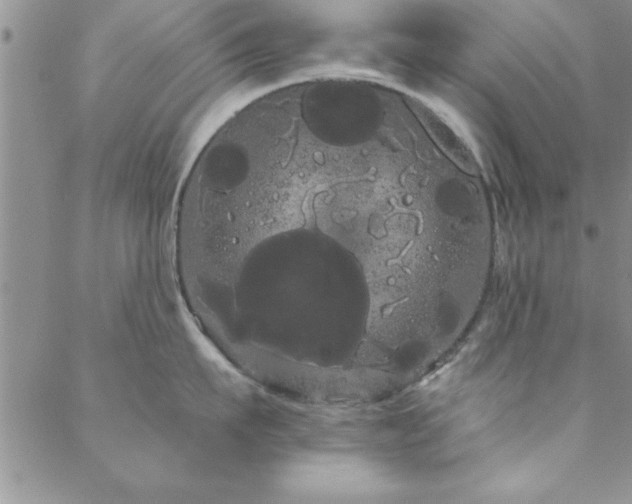 X0000088590911200705251146