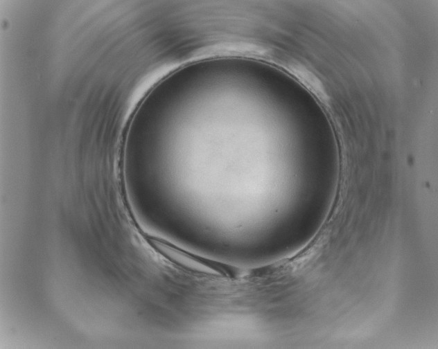 X0000088590912200705251146