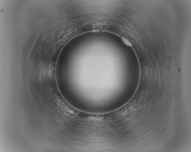 X0000088590914200705251145