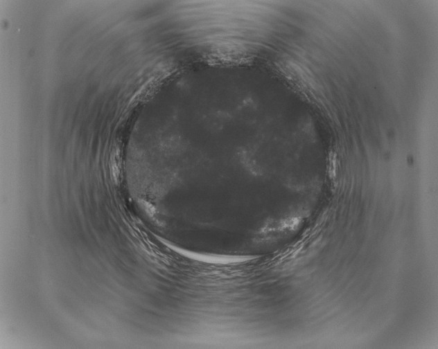 X0000088590915200705251145