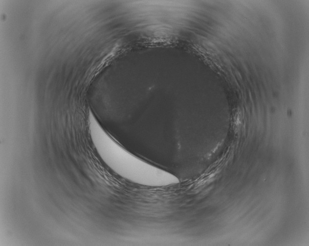 X0000088590916200705251145