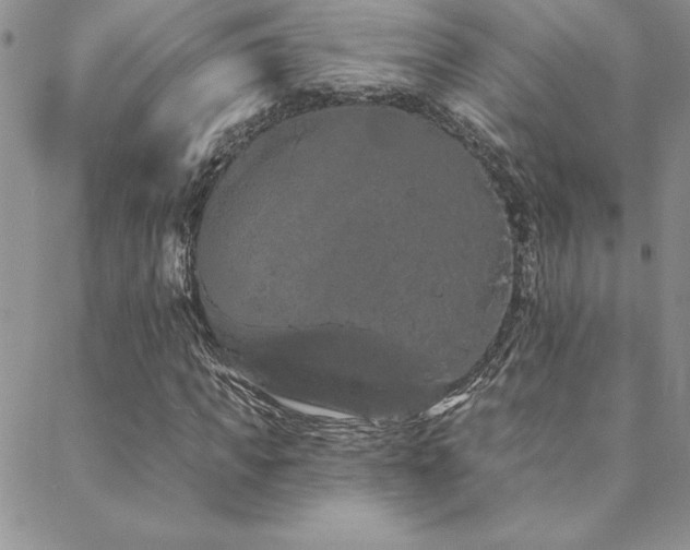 X0000088590917200705251145