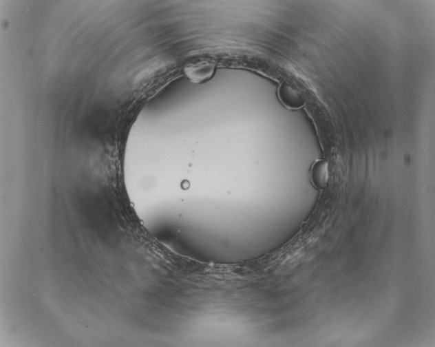 X0000088590918200705251145