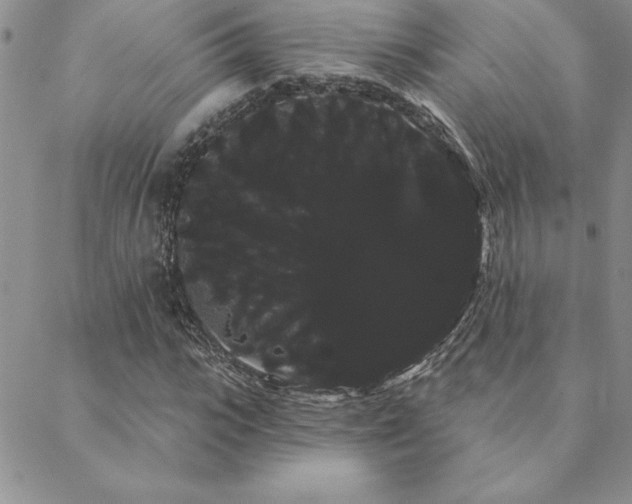 X0000088590919200705251145