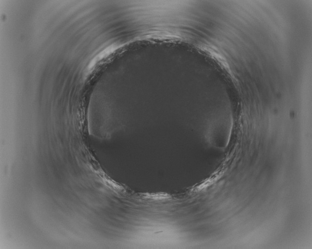 X0000088590920200705251145