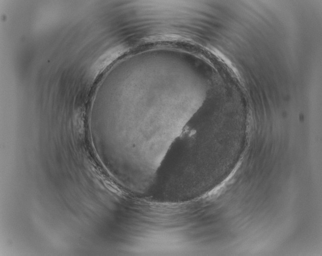 X0000088590921200705251145