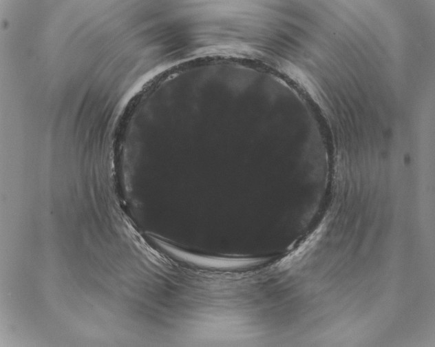 X0000088590923200705251145