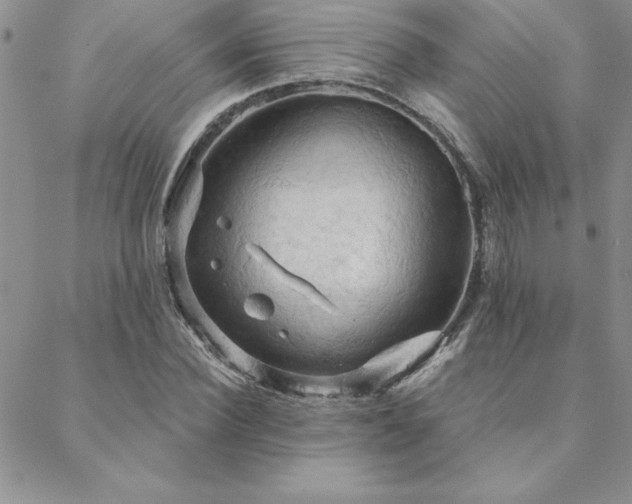 X0000088590924200705251145