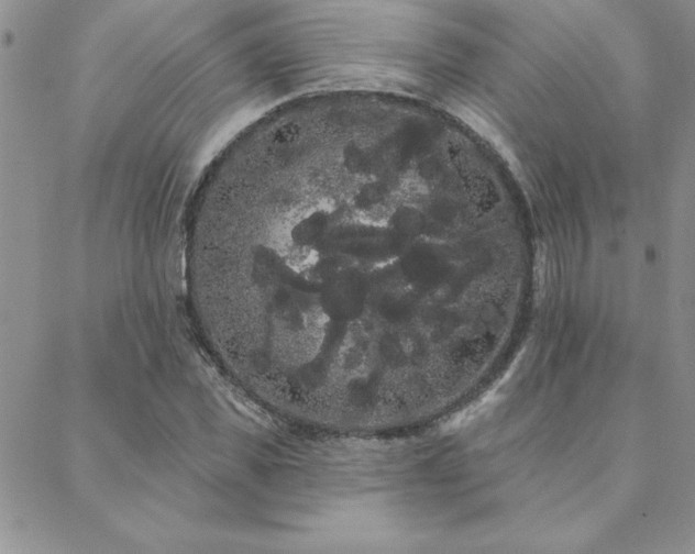 X0000088590925200705251145