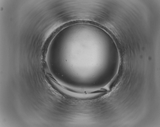 X0000088590926200705251145