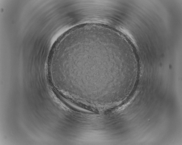 X0000088590928200705251145