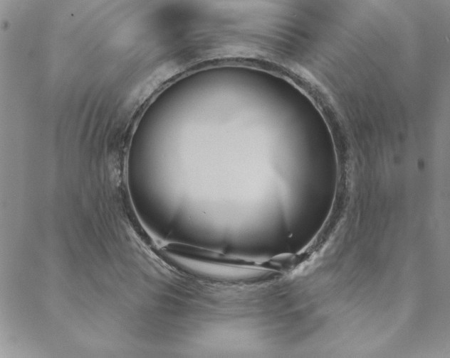 X0000088590929200705251145