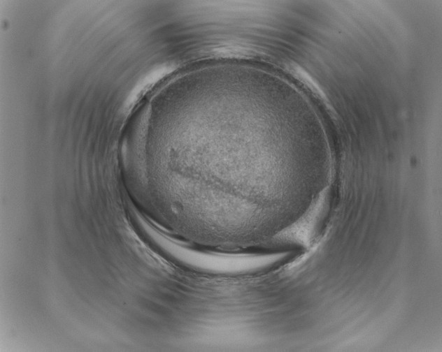 X0000088590930200705251145