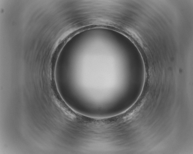 X0000088590931200705251145