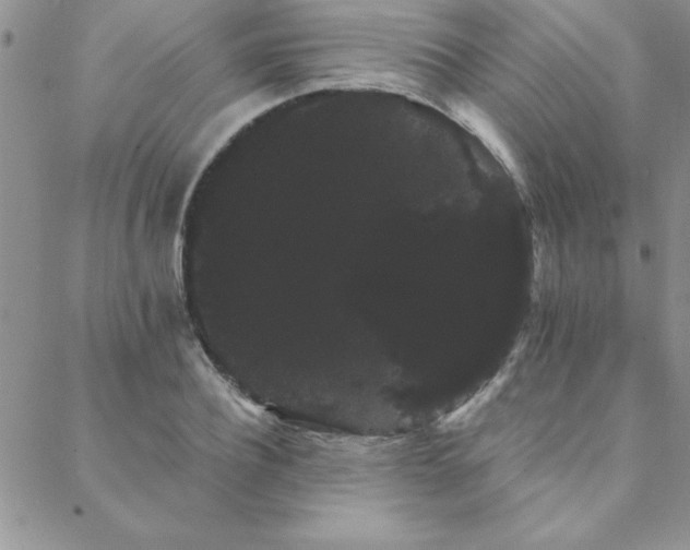 X0000088590932200705251145