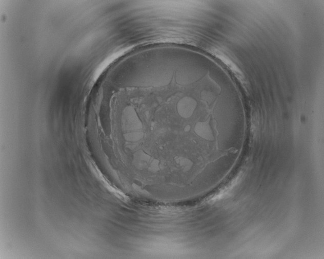 X0000088590933200705251145