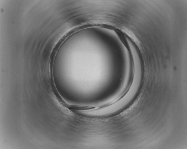 X0000088590934200705251145