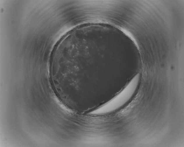 X0000088590935200705251145