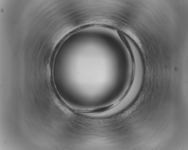 X0000088590936200705251145