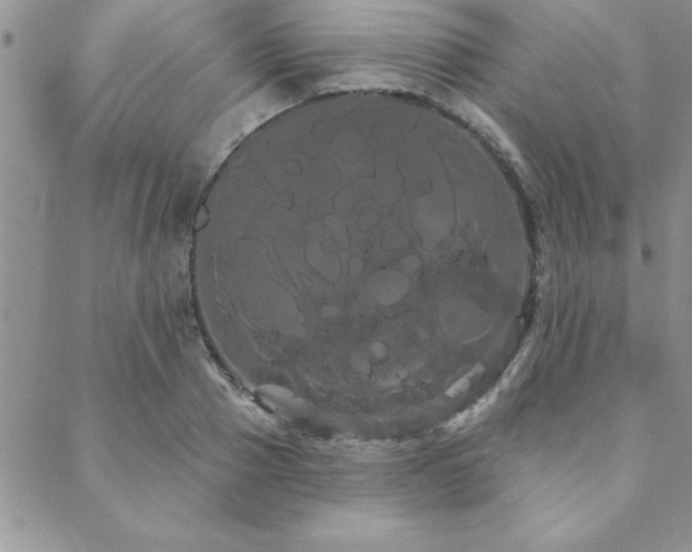 X0000088590937200705251145