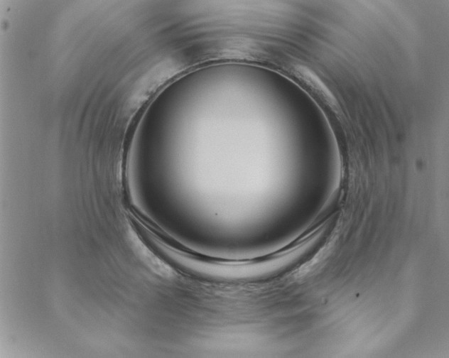 X0000088590938200705251145