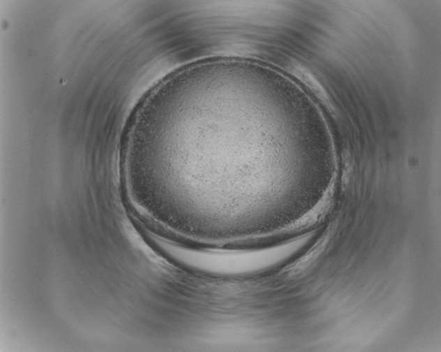 X0000088590939200705251145