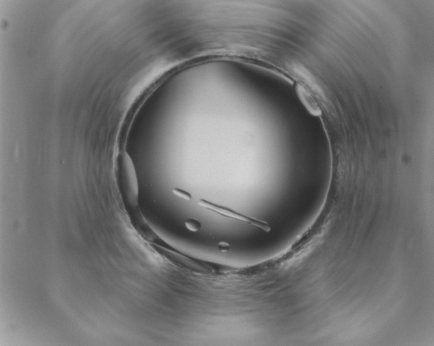 X0000088590940200705251145