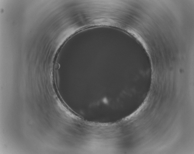 X0000088590941200705251145