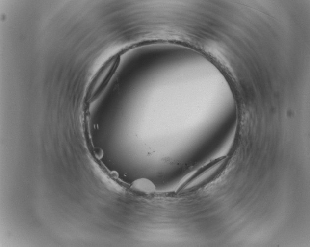 X0000088590942200705251145