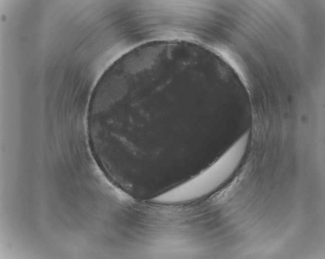 X0000088590943200705251145