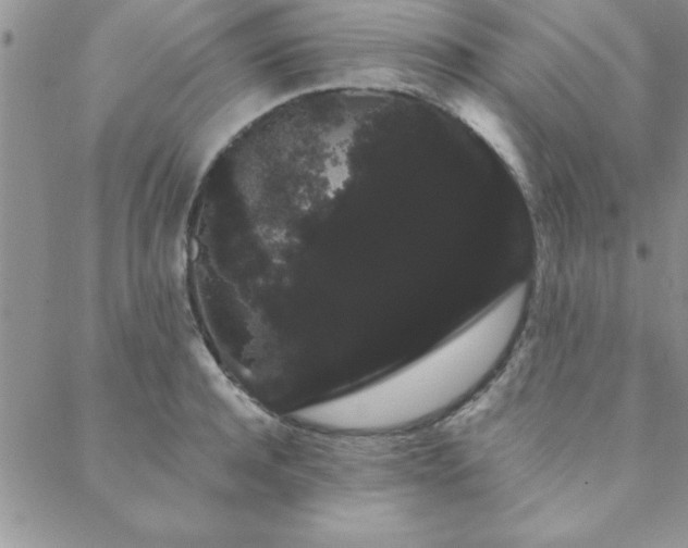 X0000088590944200705251145