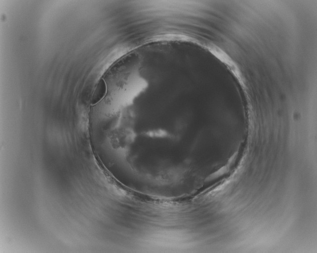 X0000088590945200705251145