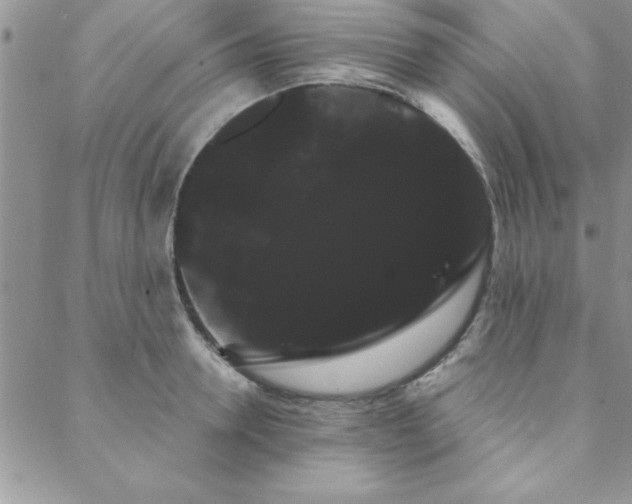 X0000088590946200705251145