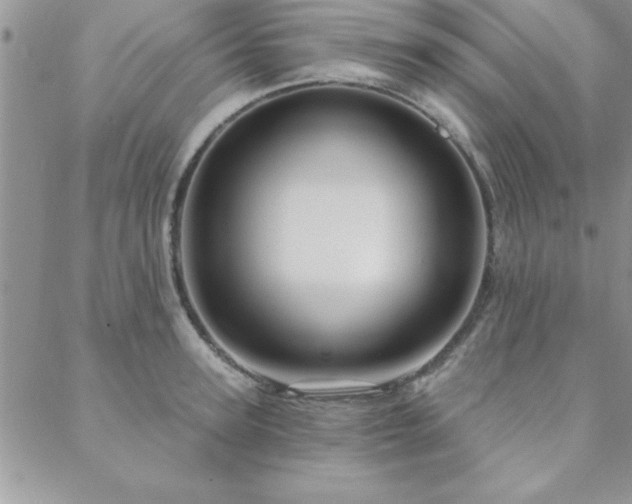 X0000088590947200705251145