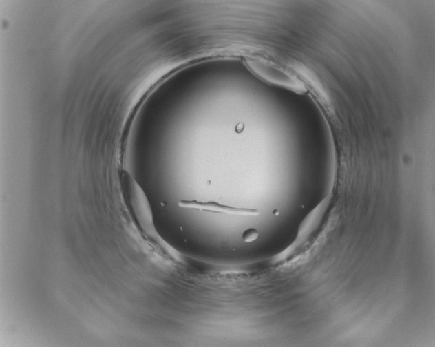 X0000088590948200705251145